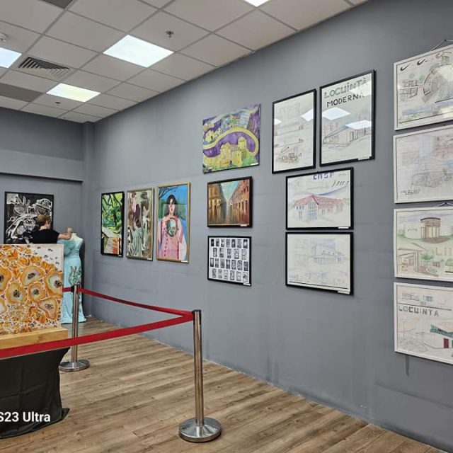 arta-plastica-liceul-de-arta-satu-mare