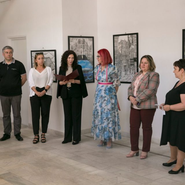 liceul-de-arta-satu-mare-13