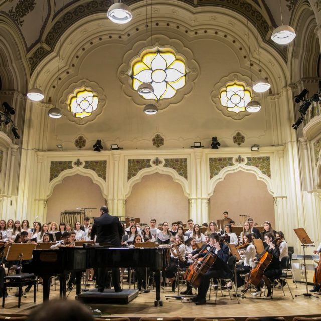 liceul-de-arta-satu-mare-18