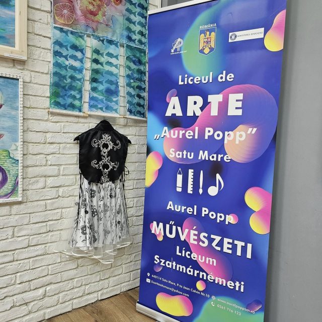 liceul-de-arta-satu-mare-2