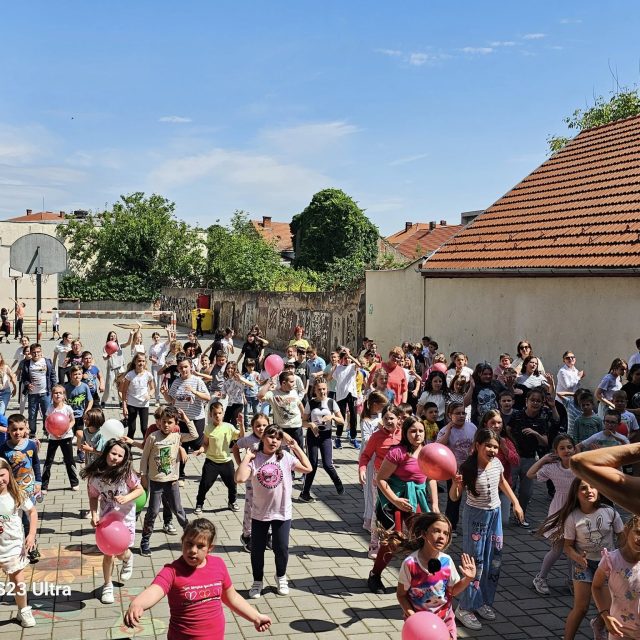 liceul-de-arta-satu-mare-33