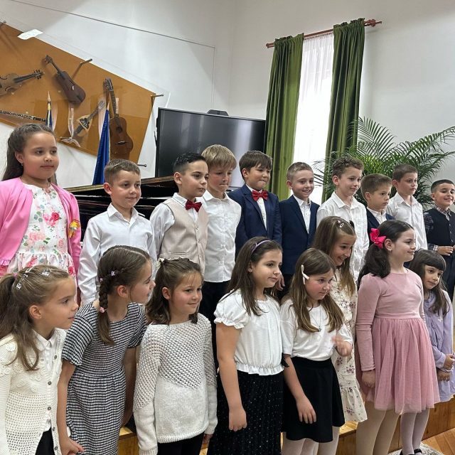 liceul-de-arta-satu-mare-39