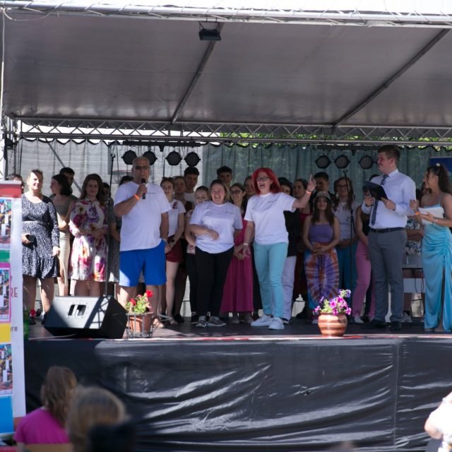liceul-de-arta-satu-mare-4