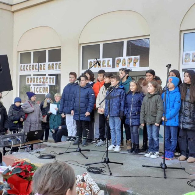 liceul-de-arta-satu-mare-68