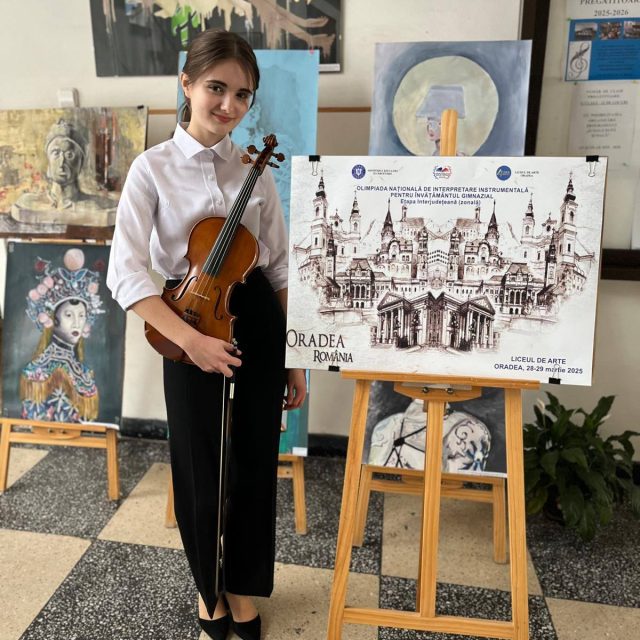 liceul-de-arte-satu-mare-vioara