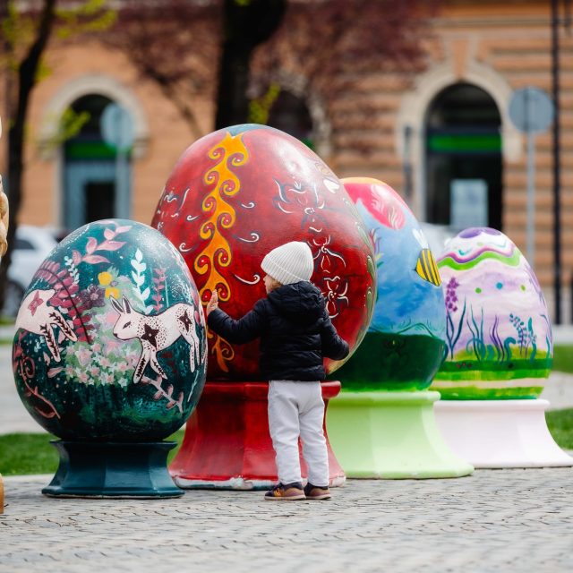 oua-pictate-satu-mare-liceul-de-arta