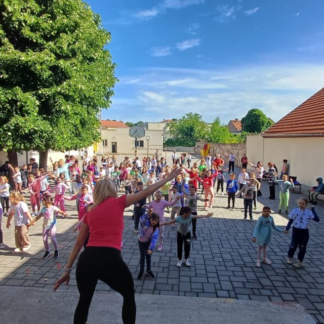 activitati-liceul-de-arta-satu-mare
