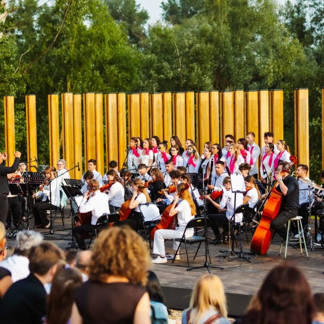 concert-liceul-de-arte-satumare