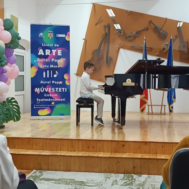 auditie-pian-liceul-de-arta-satu-mare