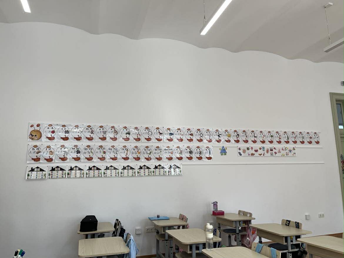 dotari-liceul-de-arte-27
